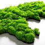 Wallity World Map Escultura de pared Verde